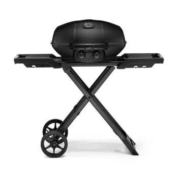 Portable Foldable Gas BBQ Grill with Temp Control Guide