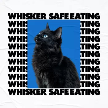 Most Toxic Things Cats Can Eat: Top Risks & What to Do