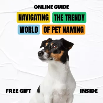 Trendy Pet Names: Meaningful, Stylish Picks That Fit