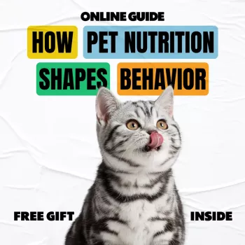 Pet Nutrition & Behavior: Calmer Mood, Better Training