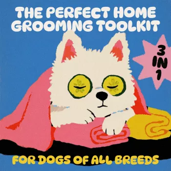 Home Dog Grooming Toolkit: Coat-Type Tools & Routine